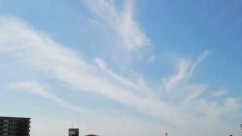 今朝の雲
