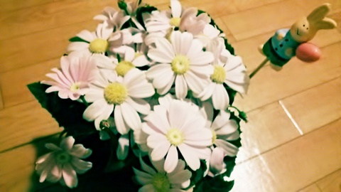 春のお花