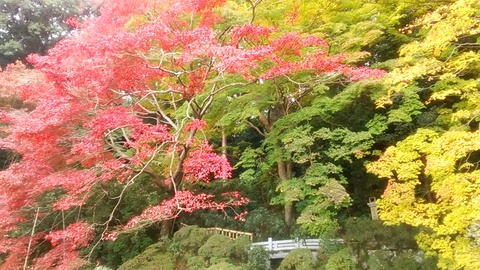 晩秋