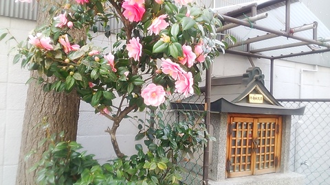 お地蔵様のほとりに