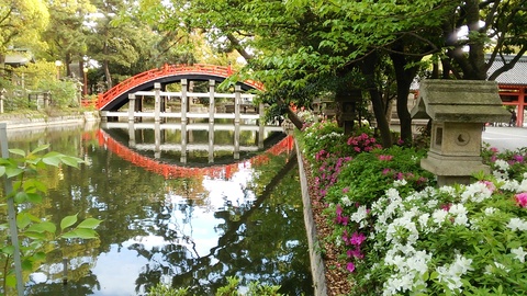 春の太鼓橋