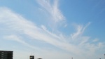 今朝の雲